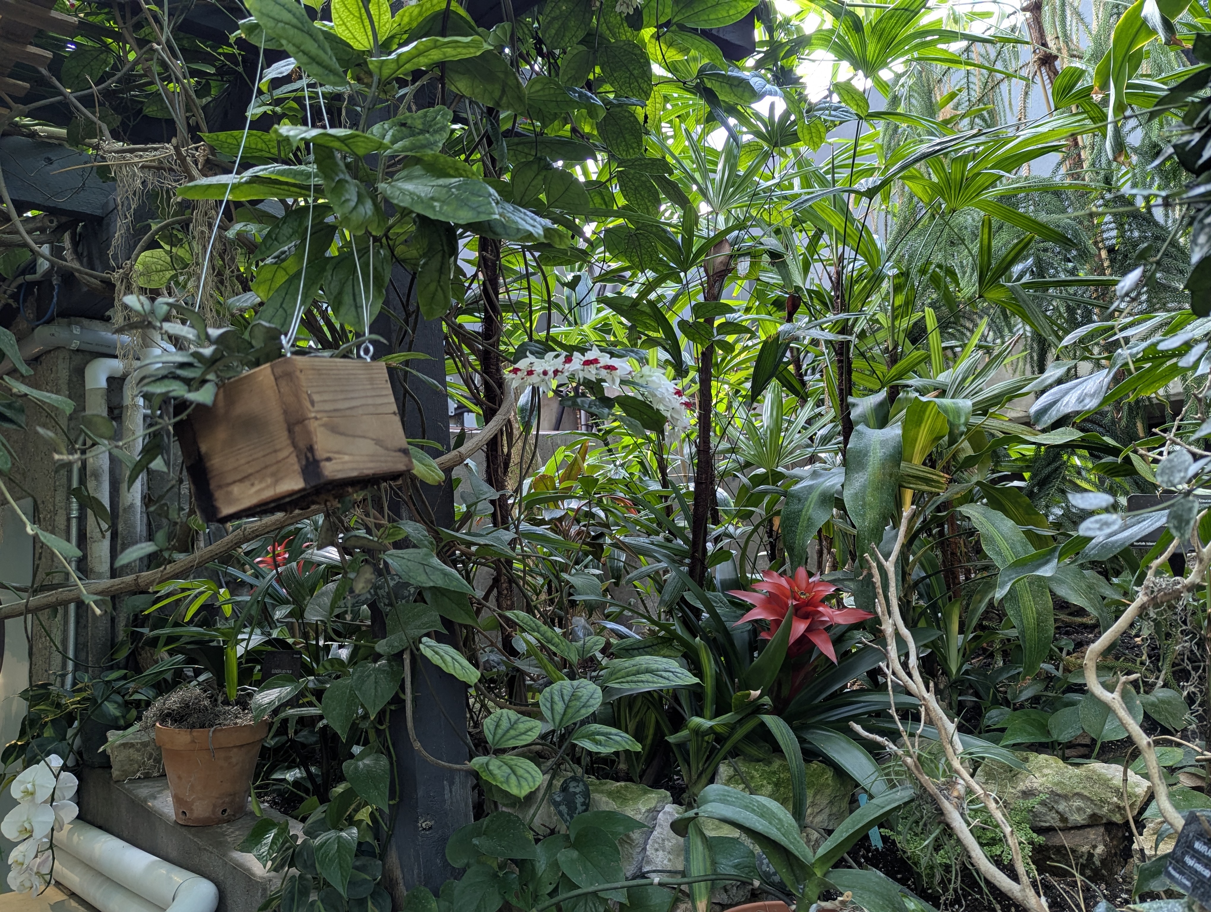 Birthday Trip to Canada, Edmonton, Pyramids, Muttart Observatory